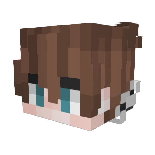 Daylightss Minecraft avatar head, 3D render