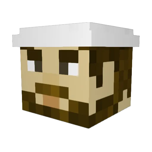 Dayman12211 Minecraft avatar head, 3D render