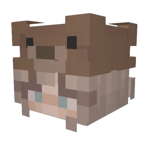 Days2 Minecraft avatar head, 3D render