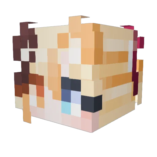 Days_99 Minecraft avatar head, 3D render