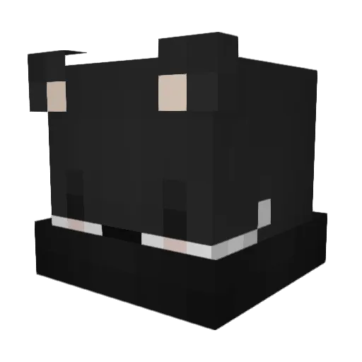 Dayti_ Minecraft avatar head, 3D render