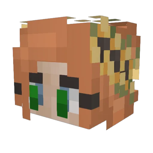 DaytimeFlame Minecraft avatar head, 3D render