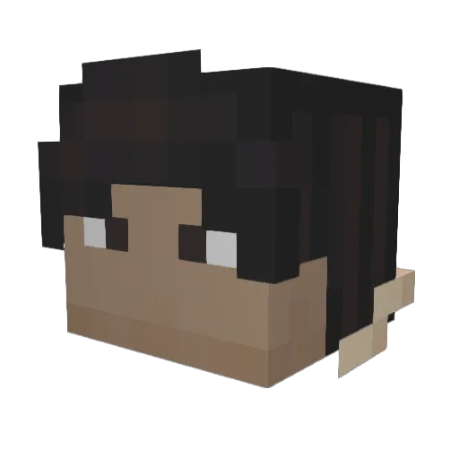 Daytimerobbery2 Minecraft avatar head, 3D render