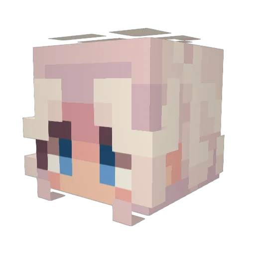 Daytona0618 Minecraft avatar head, 3D render