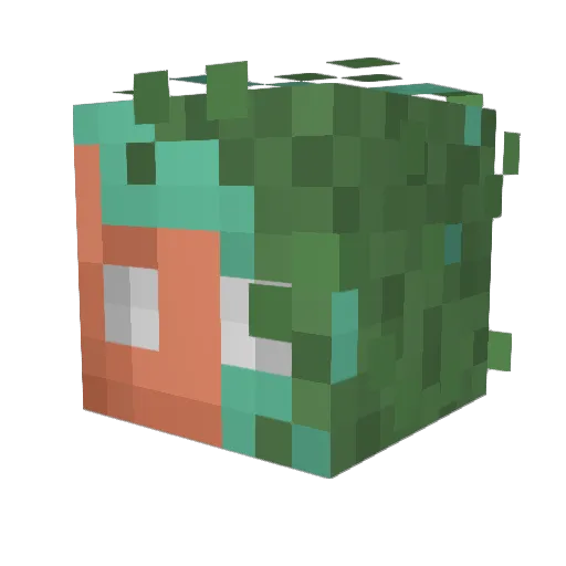Dayvlr Minecraft avatar head, 3D render