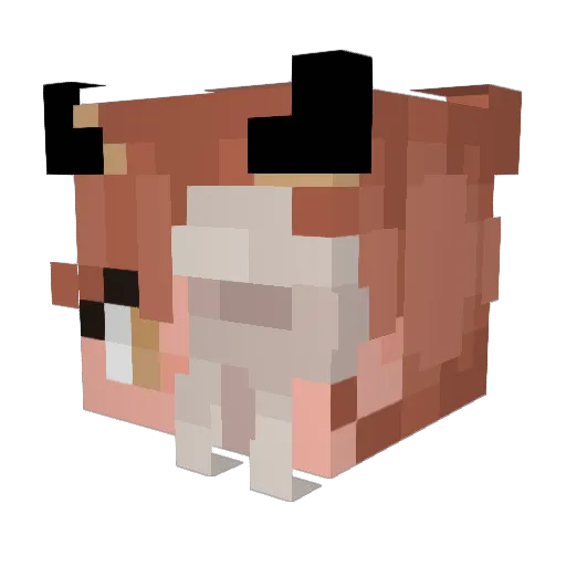 DazedEukary Minecraft avatar head, 3D render