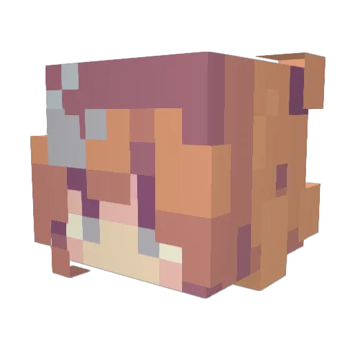 Dazeygrl Minecraft avatar head, 3D render