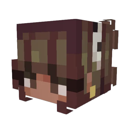 Dazzles_ Minecraft avatar head, 3D render