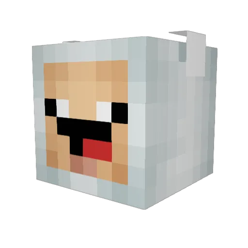 Dbird529 Minecraft avatar head, 3D render