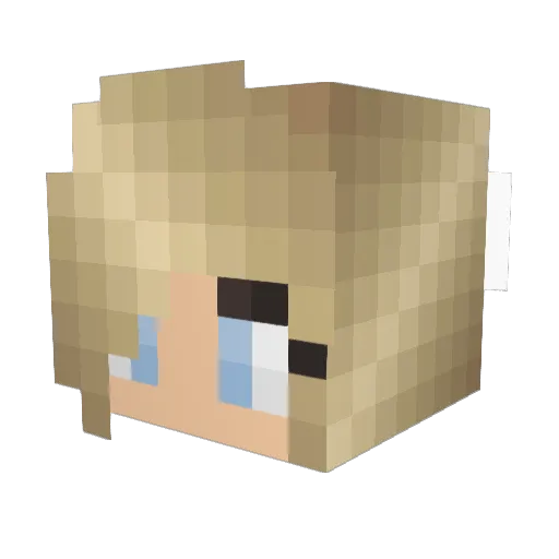 DblHi5 Minecraft avatar head, 3D render