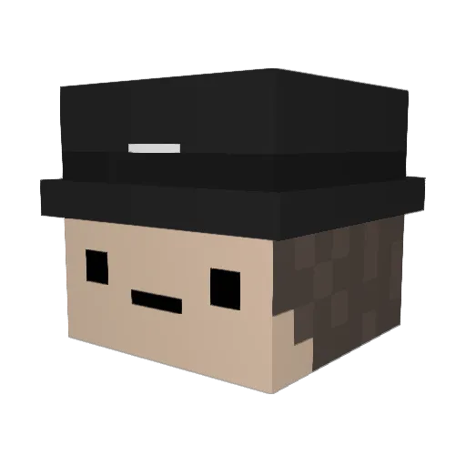 Dbloos12 Minecraft avatar head, 3D render
