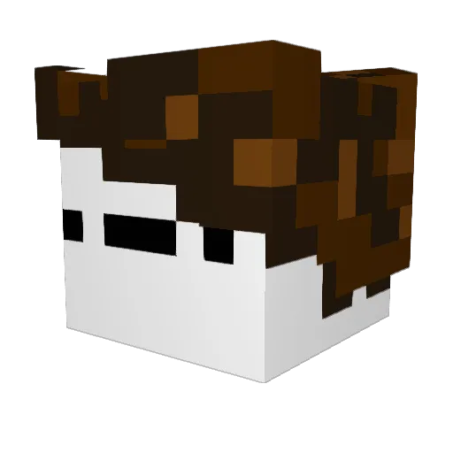 Dbolsimp Minecraft avatar head, 3D render