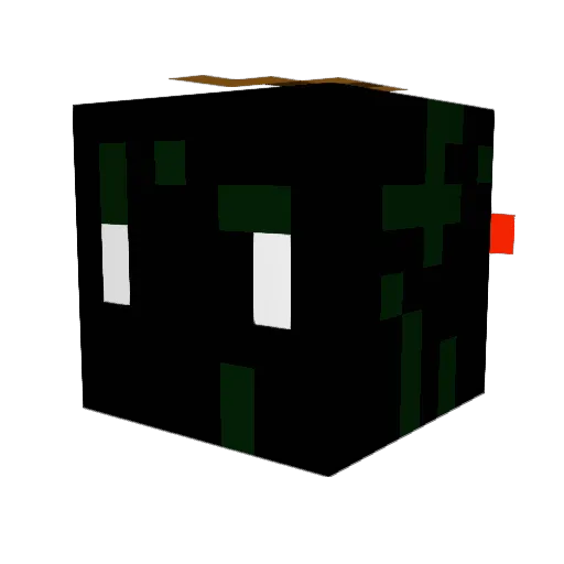 Dbomb515 Minecraft avatar head, 3D render