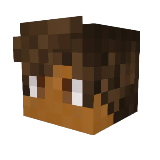 Dbug10 Minecraft avatar head, 3D render