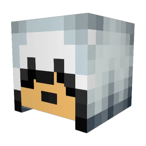 Dbyrum234 Minecraft avatar head, 3D render