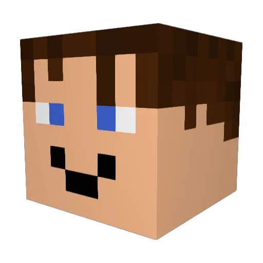DbzKid03 Minecraft avatar head, 3D render
