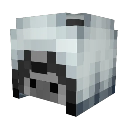 DcSnOwBoArDeR18 Minecraft avatar head, 3D render