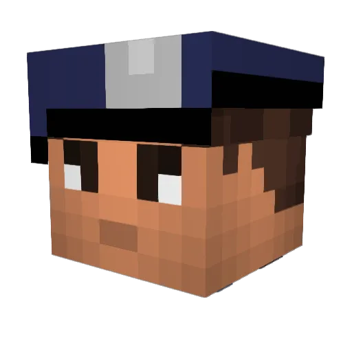 Dc_Infinity Minecraft avatar head, 3D render