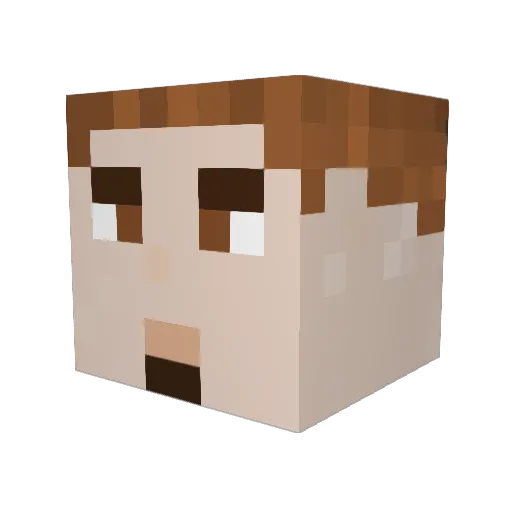 Dcode95 Minecraft avatar head, 3D render