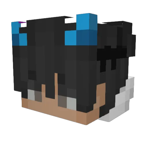Dcost4 Minecraft avatar head, 3D render