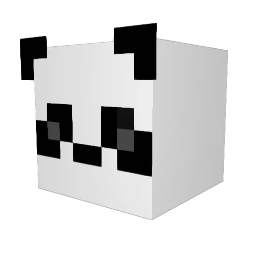 DcrafterHD_ Minecraft avatar head, 3D render