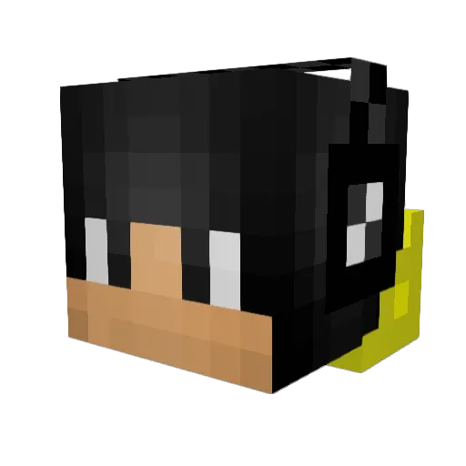 DdGamersYT Minecraft avatar head, 3D render