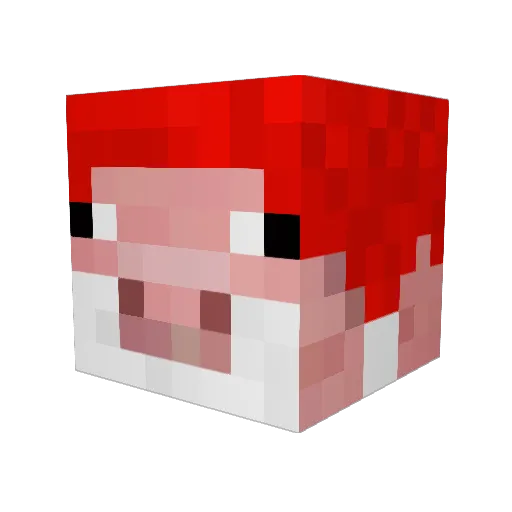 Ddogz Minecraft avatar head, 3D render