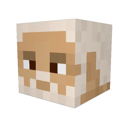 Ddokkaebi Minecraft avatar head, 3D render