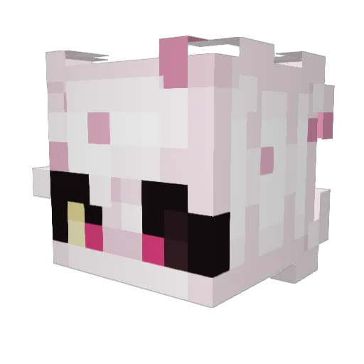 DeAd_BoI200 Minecraft avatar head, 3D render