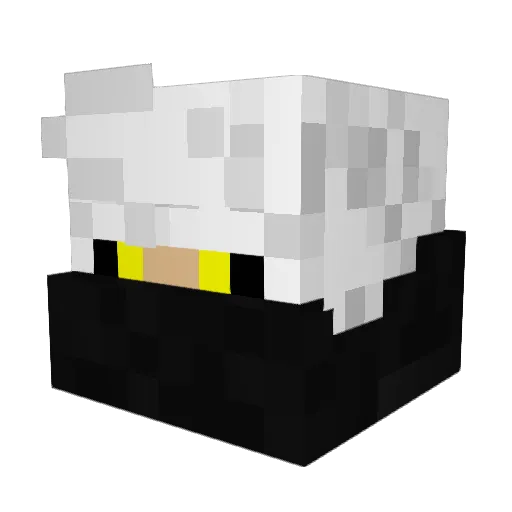 DeBernardi Minecraft avatar head, 3D render