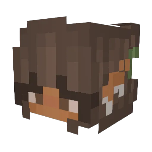 DeBillz Minecraft avatar head, 3D render