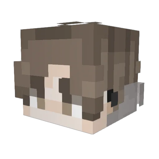 DeBozeBaron Minecraft avatar head, 3D render