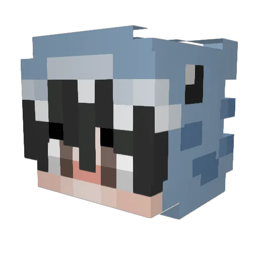 DeBroodDoos Minecraft avatar head, 3D render