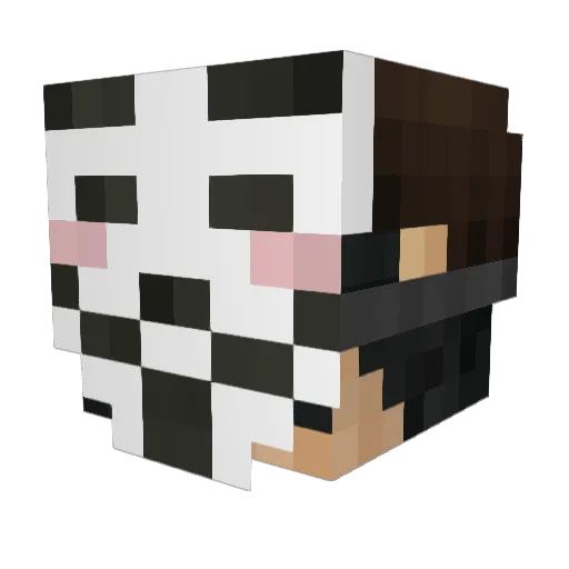 DeCastro Minecraft avatar head, 3D render