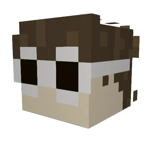DeClrilix Minecraft avatar head, 3D render