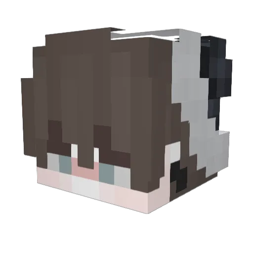 DeEsthete Minecraft avatar head, 3D render