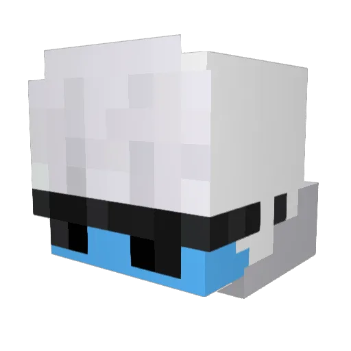 DeFinit_ly Minecraft avatar head, 3D render