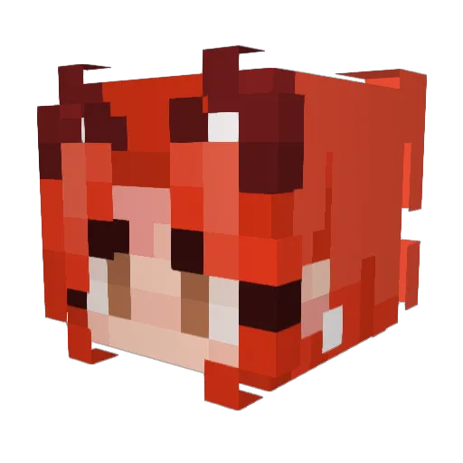DeFireWolf20 Minecraft avatar head, 3D render