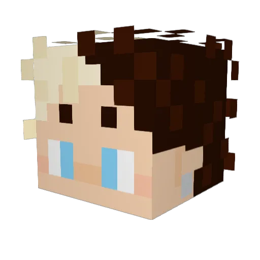DeLowl Minecraft avatar head, 3D render