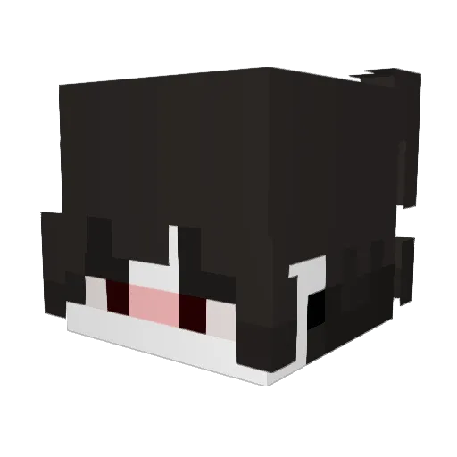 DeLuke Minecraft avatar head, 3D render