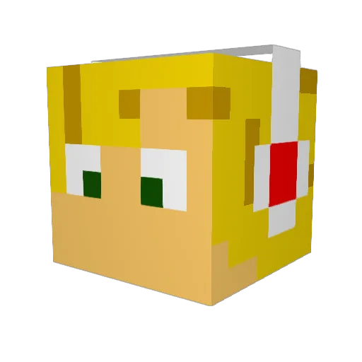 DeMax404 Minecraft avatar head, 3D render