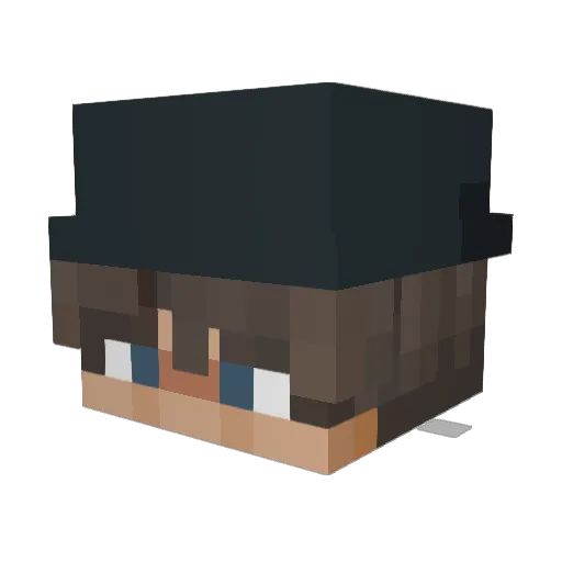 DeMeetus Minecraft avatar head, 3D render