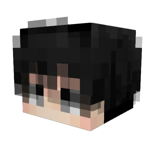 DeMoNfr123 Minecraft avatar head, 3D render