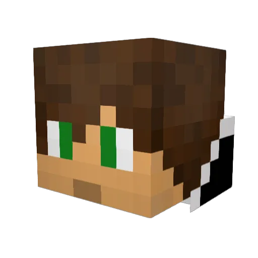 DeMoss1232 Minecraft avatar head, 3D render