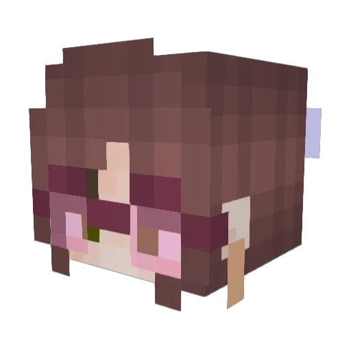 DeMurrious Minecraft avatar head, 3D render
