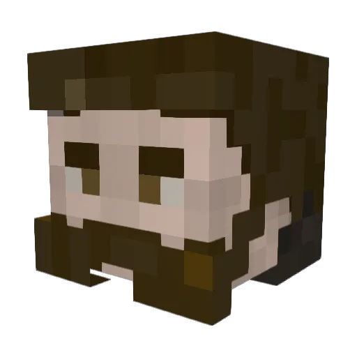 DeNainMan Minecraft avatar head, 3D render