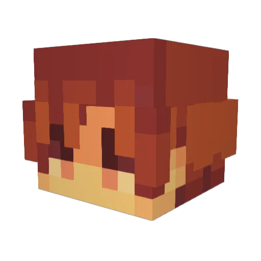 DeNajman123 Minecraft avatar head, 3D render