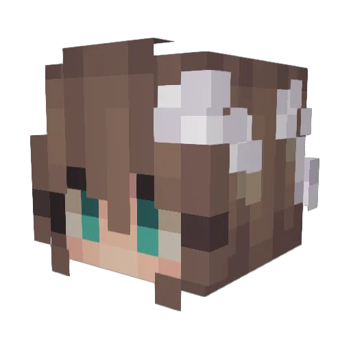 DeNewCZ Minecraft avatar head, 3D render