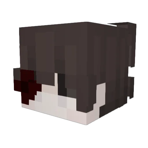 DePiedra1 Minecraft avatar head, 3D render