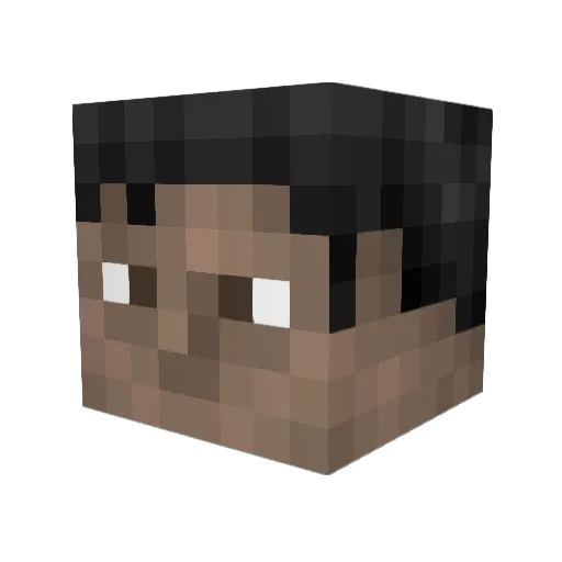 DeRp_ToXiC Minecraft avatar head, 3D render